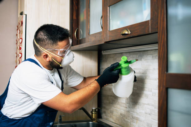 Best Best Pest Control Companies  in Cartervle, IL