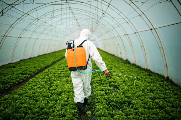 Best Mosquito Control Services  in Cartervle, IL