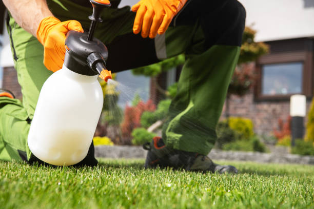 Best Wildlife Control Services  in Cartervle, IL