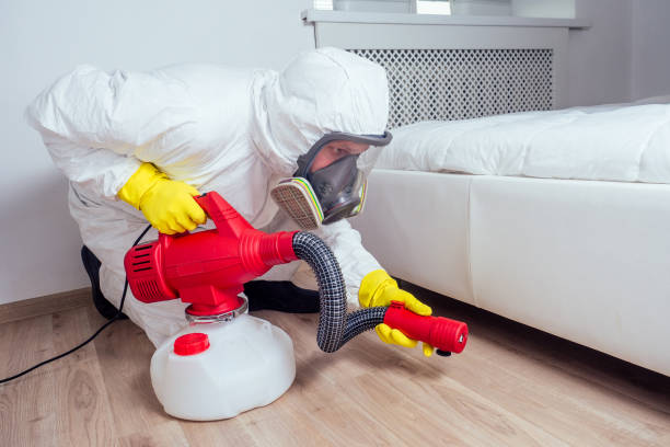 Reliable Carterville, IL Pest Control Solutions