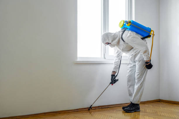 Best Pest Inspection Near Me  in Cartervle, IL
