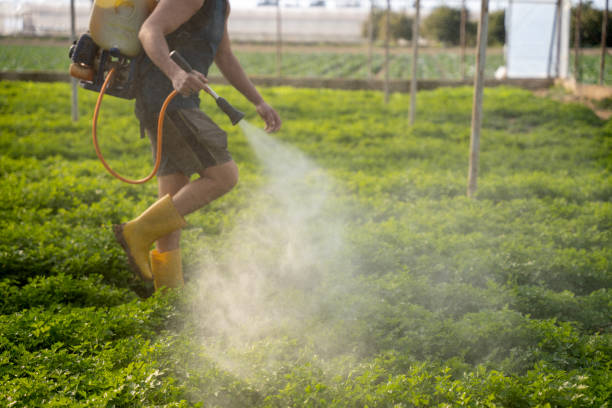 Best Emergency Pest Control  in Cartervle, IL