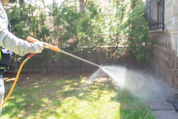 Best Pest Control for Businesses  in Cartervle, IL