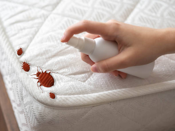 Best Cockroach Control Services  in Cartervle, IL